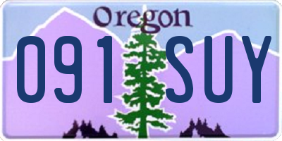 OR license plate 091SUY