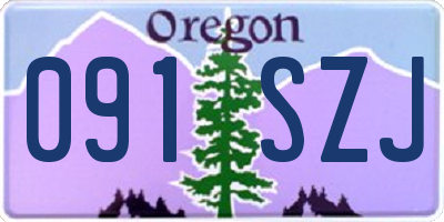 OR license plate 091SZJ