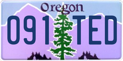 OR license plate 091TED