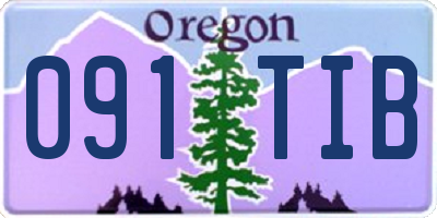 OR license plate 091TIB
