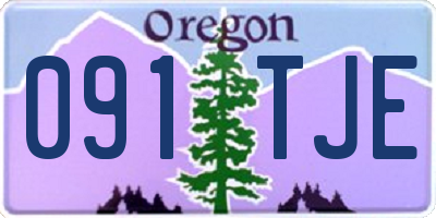 OR license plate 091TJE