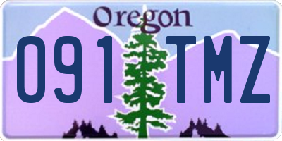 OR license plate 091TMZ