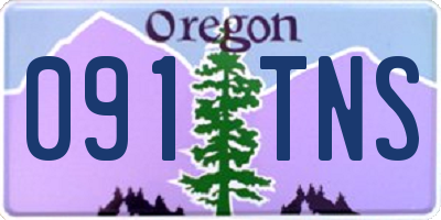 OR license plate 091TNS