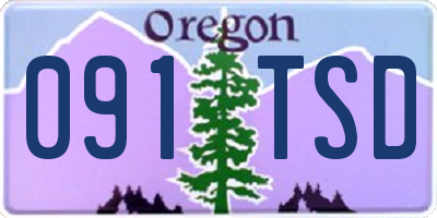 OR license plate 091TSD