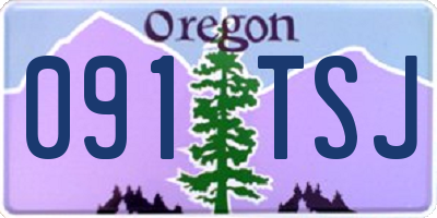 OR license plate 091TSJ