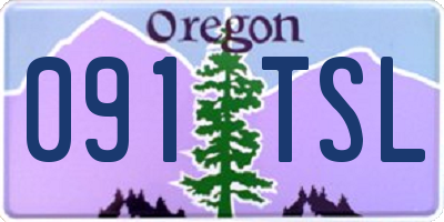 OR license plate 091TSL