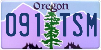 OR license plate 091TSM