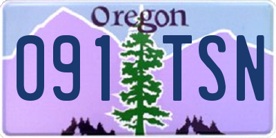 OR license plate 091TSN