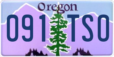 OR license plate 091TSO