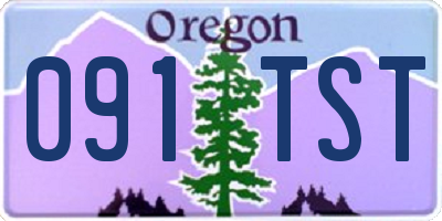 OR license plate 091TST