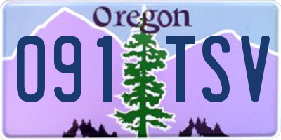 OR license plate 091TSV