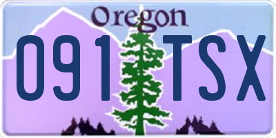 OR license plate 091TSX