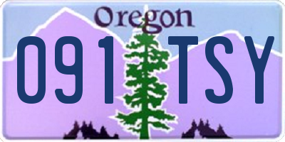 OR license plate 091TSY
