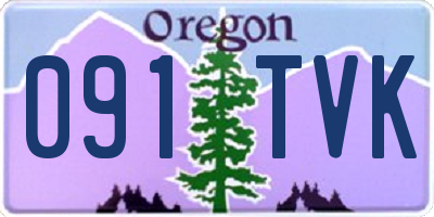 OR license plate 091TVK