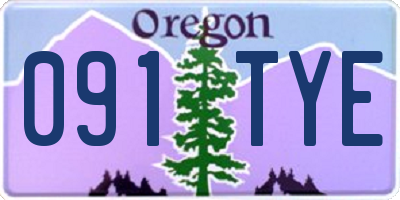 OR license plate 091TYE