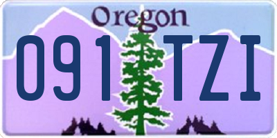 OR license plate 091TZI