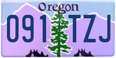OR license plate 091TZJ