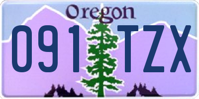 OR license plate 091TZX