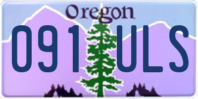 OR license plate 091ULS