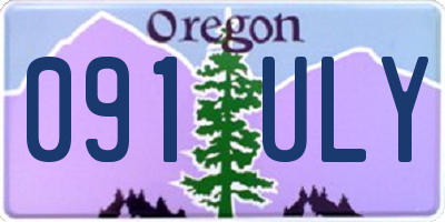 OR license plate 091ULY