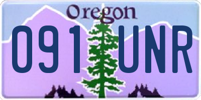 OR license plate 091UNR