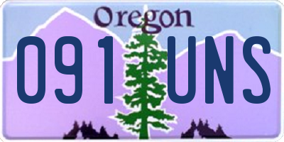OR license plate 091UNS