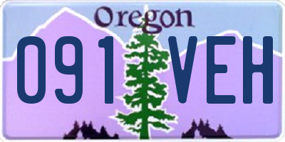 OR license plate 091VEH