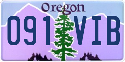 OR license plate 091VIB