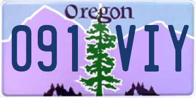 OR license plate 091VIY