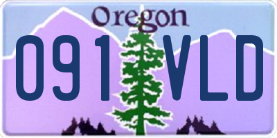 OR license plate 091VLD