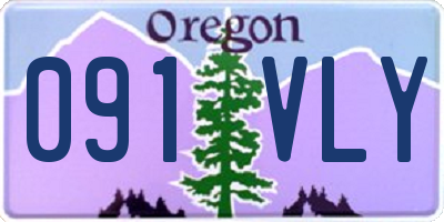 OR license plate 091VLY