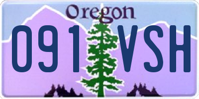 OR license plate 091VSH