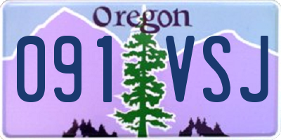OR license plate 091VSJ