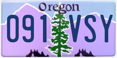 OR license plate 091VSY