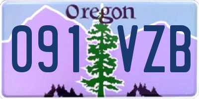 OR license plate 091VZB