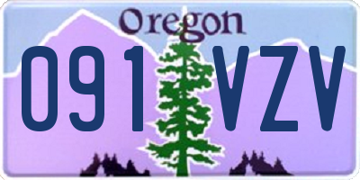 OR license plate 091VZV