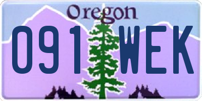 OR license plate 091WEK