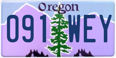 OR license plate 091WEY