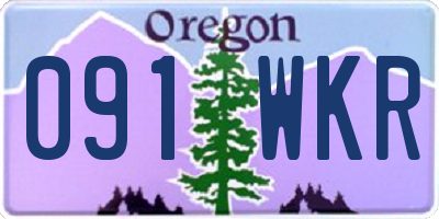 OR license plate 091WKR