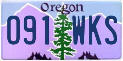 OR license plate 091WKS