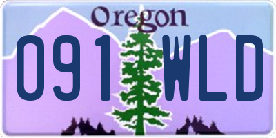 OR license plate 091WLD