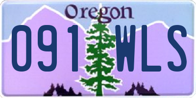 OR license plate 091WLS