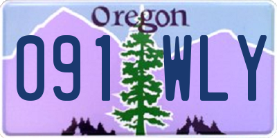 OR license plate 091WLY