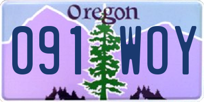 OR license plate 091WOY