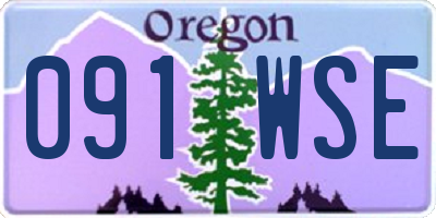 OR license plate 091WSE