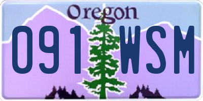 OR license plate 091WSM