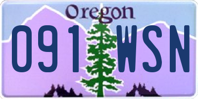OR license plate 091WSN