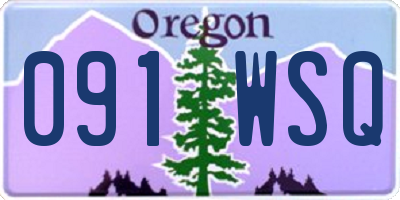OR license plate 091WSQ