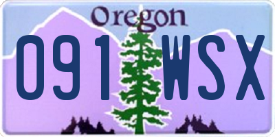 OR license plate 091WSX