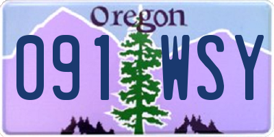 OR license plate 091WSY